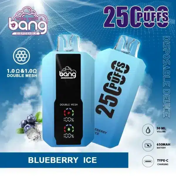 Bang 25000 Disposable Vape Blueberry Ice