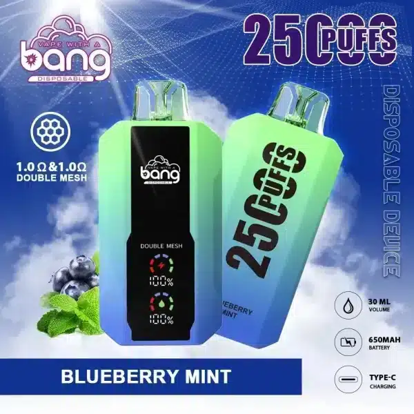 Bang 25000 Disposable Vape Blueberry Mint