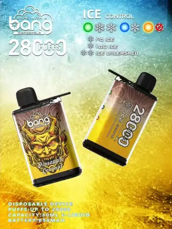 Bang 28000 Disposable Vape