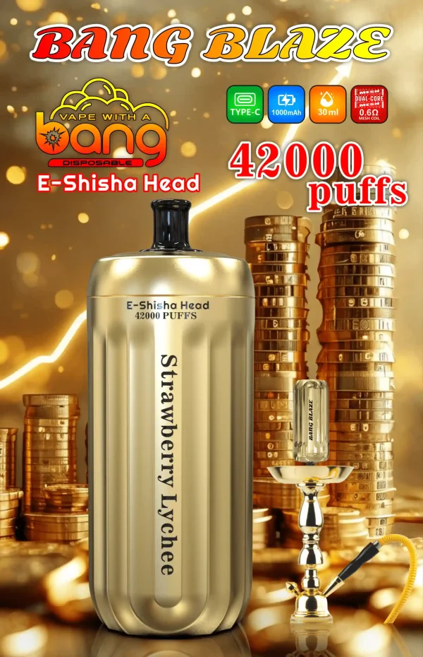 Bang E-Shisha Head 42000