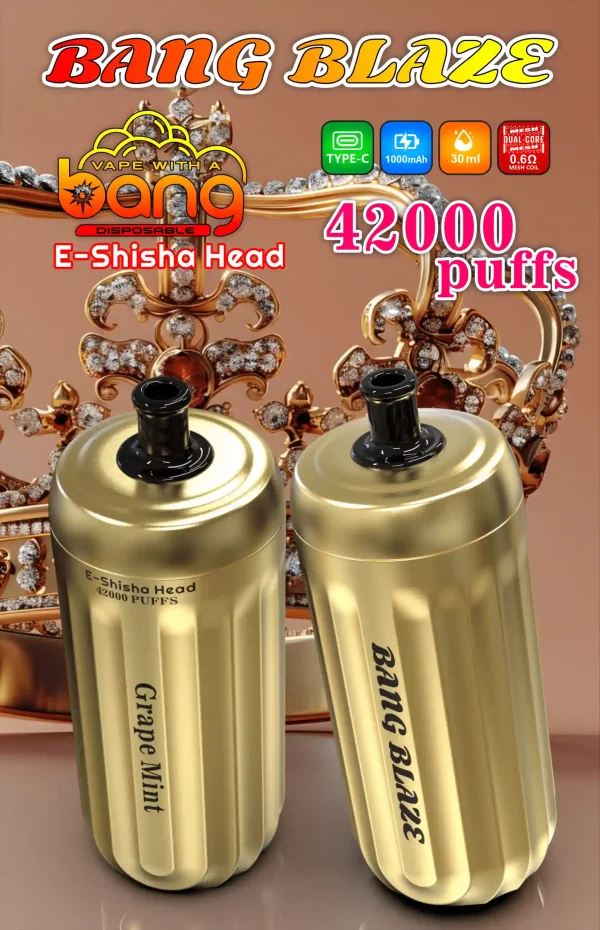 Bang E-Shisha Head 42000