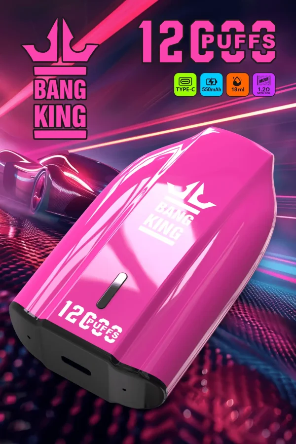 Bang King 12000 Porsche 3