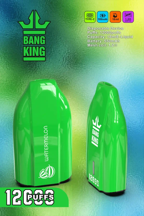 Bang King 12000 Porsche